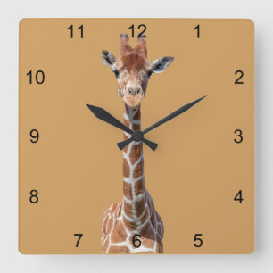 Horloge Carrée Visage mignon de girafe