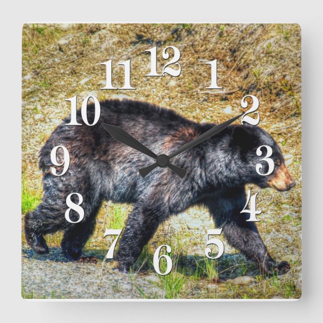 Horloge Carrée Walking Black Bear Faune Photo Art (Recto)