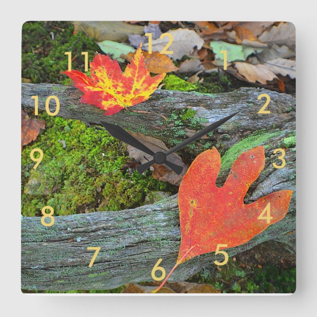 Horloge Carrée Wall Clock Autumn Leaves (Recto)