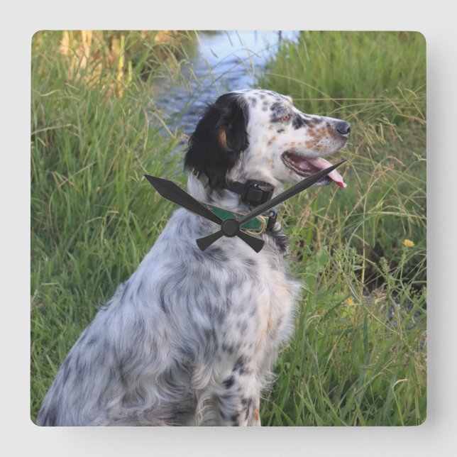 Horloge Carrée Wall Clock with Dogs of the Feather Llewellin (Recto)
