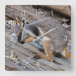 Horloge Carrée Wallaby à pied jaune Kangourou Australie