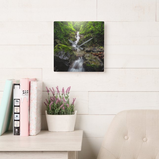 Horloge Carrée Waterfalls | Phayao Mountain National Park (Salle de lecture)