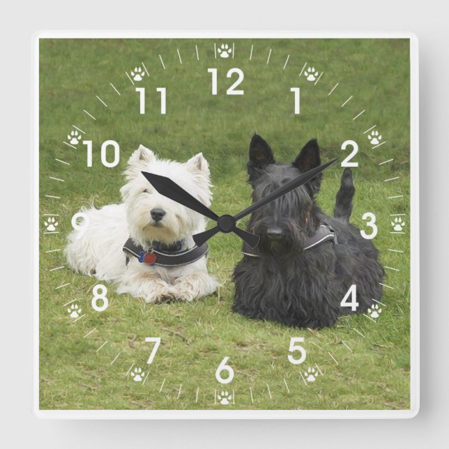 Horloge Carrée Westie & Scottie Herbe Verte (Recto)