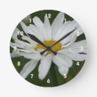 White Daisy Flower With Raindrops