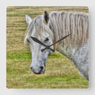 Horloge Carrée White New Forest Pony Wild Horse