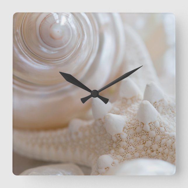 Horloge Carrée White Seashell Starfish Tropical Beach Sea Shells (Recto)