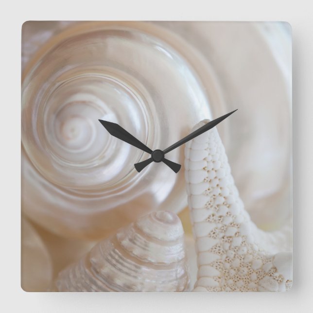 Horloge Carrée White Seashell Starfish Tropical Beach Sea Shells (Recto)