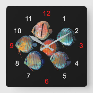 Horloge Carrée Wild Discus fish