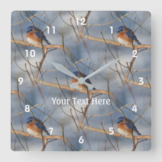 Horloge Carrée Winter Bluebird Nature Motif (Recto)