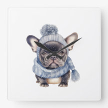 Winter Bulldog Baby in Blue Cap and Scarf 