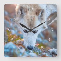 WOLF ALPINE TREKKER