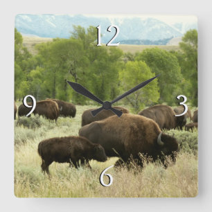 Horloge Carrée Wyoming Bison Nature Animal Photographie