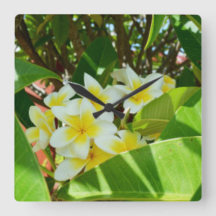 Horloge Carrée Yellow Frangipani Tree