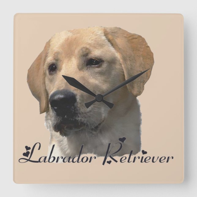 Horloge Carrée Yellow Labrador Retriever (Recto)