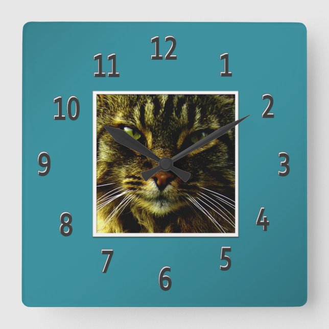 Horloge Carrée Yeux de chat Hypnotisant photo Turquoise encadrée (Recto)