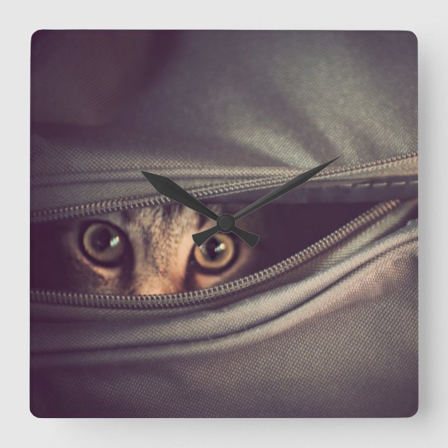 Horloge Carrée Young Tabby (Recto)