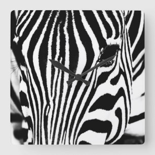 Horloge Carrée Zebra portrait noir et blanc