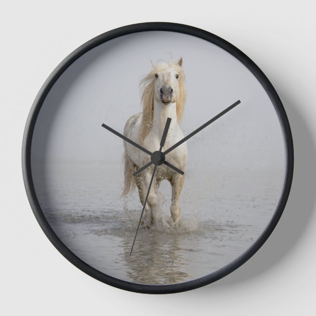 Horloge Cheval Camargue courant dans l'eau (Recto)