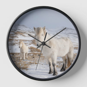 Horloge Cheval islandais   Blonduos, Islande