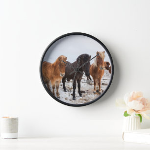 Horloge Cheval islandais pendant l'hiver en Islande