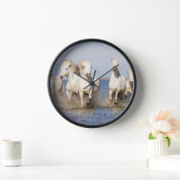 Chevaux de Camargue