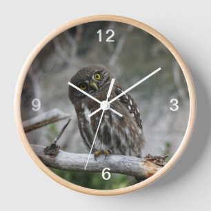 Horloge Chevêchette naine