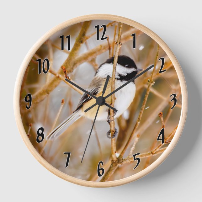 Horloge Chickadee au plafond noir - Photo originale (Recto)