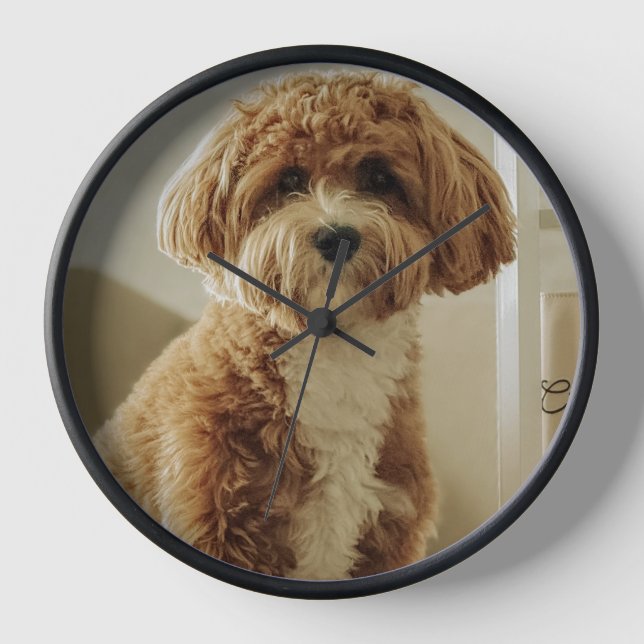 Horloge chien mignon (Recto)