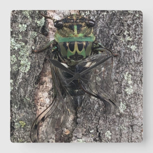 Horloge Cicada