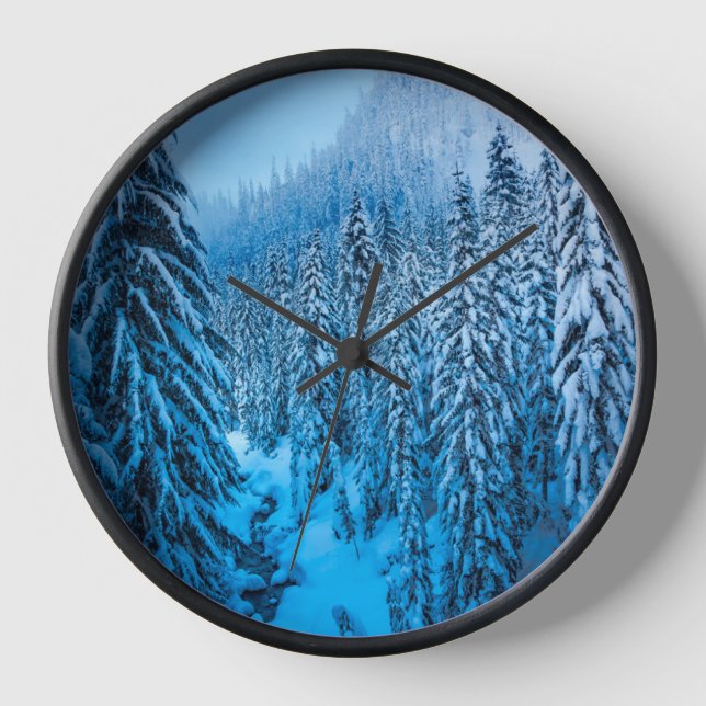 Horloge Col de Snoqualmie, État de Washington. (Recto)