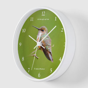 Horloge Colibri roux sur California Lilac