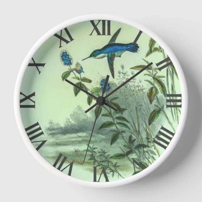 Horloge Colibri vintage par John Gould (Recto)