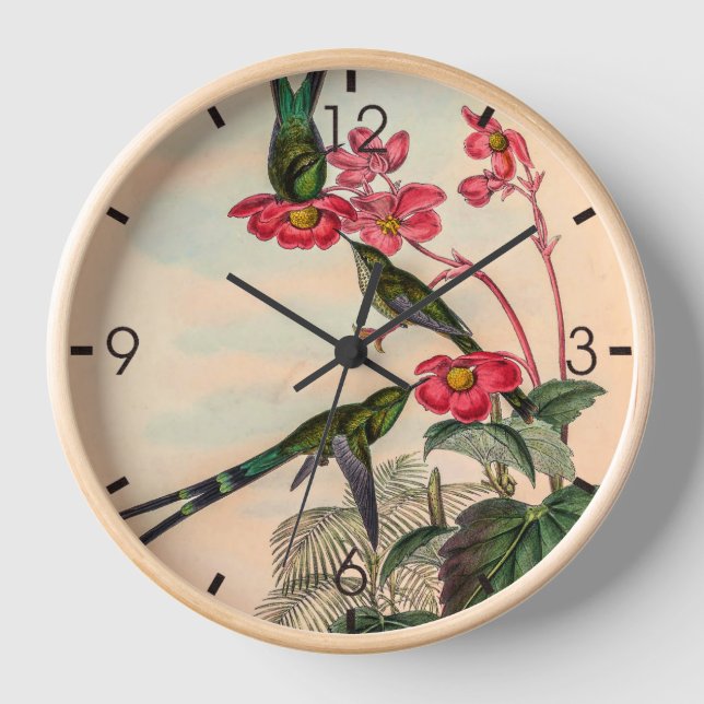 Horloge Colibri vintage par John Gould (Recto)