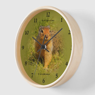 Horloge Curieux Cute affamé écureuil de fond colombien