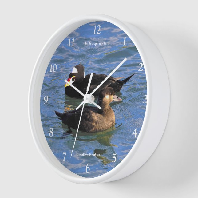 Horloge Cute Funny Surf Scoter Canards Nager à la jetée (Angle)