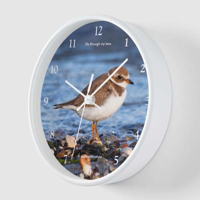 Horloge Cute Semipalmé Plover Bécasseau (Angle)