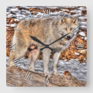 Horloge d'art faunique blanche Loup, neige et rond