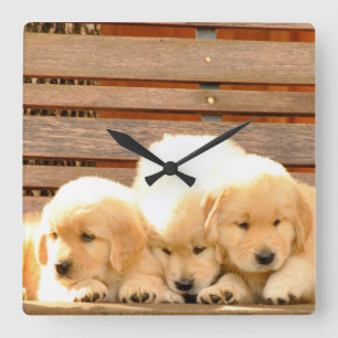 Horloge de 3 chiots