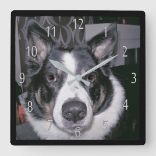 Horloge de chien personnalisée