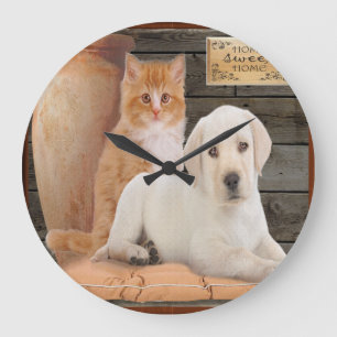 horloge de chiot et chaton