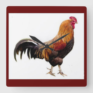 Horloge de coq