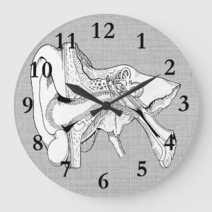HORLOGE DE CRU D'ANATOMIE D'OREILLE