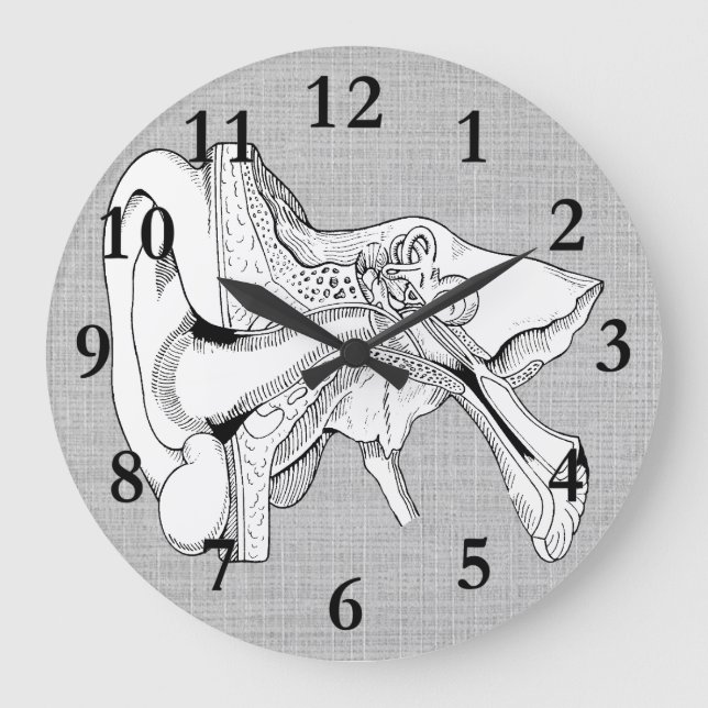 HORLOGE DE CRU D'ANATOMIE D'OREILLE (Recto)