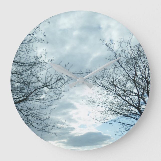 Horloge de la nature (Recto)