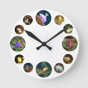 Horloge de Nudibranch
