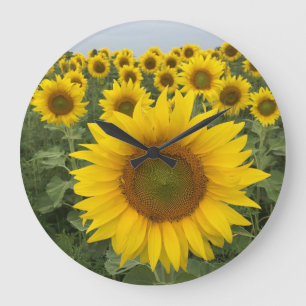 Horloge de récolte de tournesol jaune