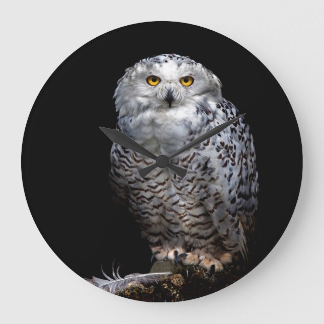 Horloge de Snowy Owl (Recto)