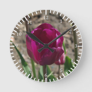 Horloge de Tulipe pourpre