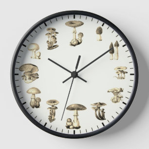Horloge des champignons - Illustration des champig