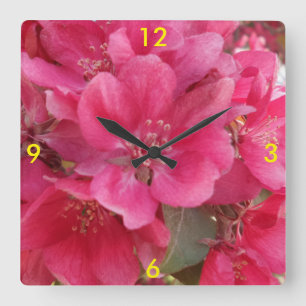 Horloge des fleurs du printemps